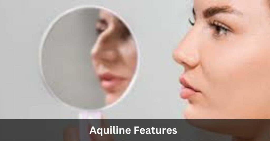 Aquiline Features